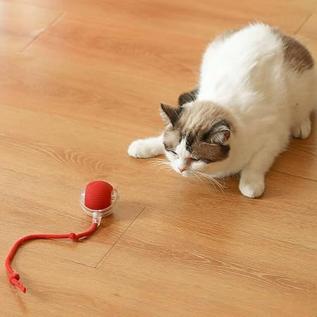 Automatic cat toy ball