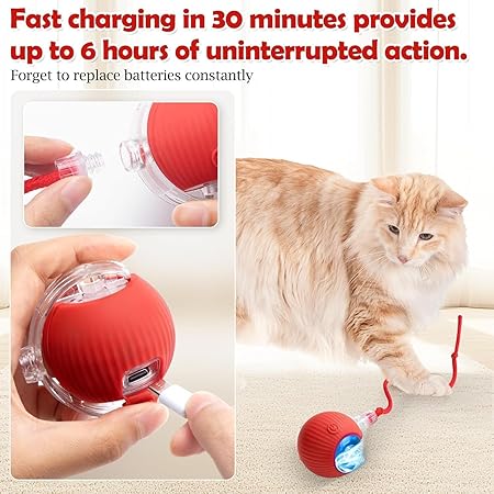 Automatic cat toy ball
