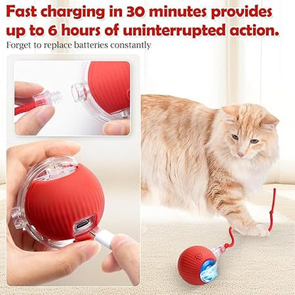 Automatic cat toy ball